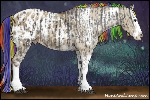 Horse Color:Painted Liver Chestnut Sabino Splash Appaloosa and Painted White Spotted Liver Red Dun Sabino Splash Appaloosa