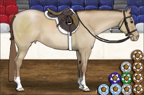 Horse Color:Grullo Pearl 