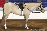 Horse Color:Grullo Pearl