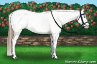 Horse Color:White Spotted Liver Chestnut Pearl Snowflake Varnish