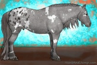Horse Color:White Spotted Liver Chestnut Varnish 