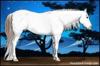 Horse Color:Liver Red Dun Splash Tobiano Blanket 