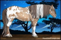 Horse Color:White Spotted Sable Champagne Blanket 