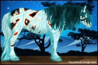 Horse Color:Thunderstruck Gold Cream Champagne Tobiano Appaloosa Rabicano 