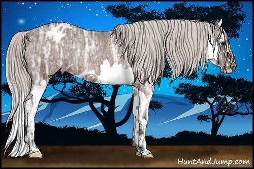 Horse Color:Silver Brown Ice Splash Appaloosa Rabicano 