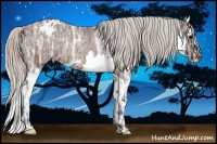 Horse Color:Silver Brown Ice Splash Varnish Rabicano 