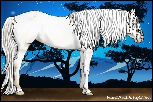 Horse Color:Silver Amber Champagne Varnish Rabicano