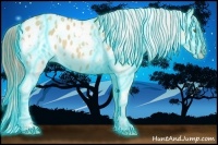 Horse Color:Thunderstruck White Spotted Classic Champagne Dun Blanket Rabicano