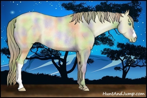 Horse Color:Nacre Watercolor Gold Champagne Pearl Dun Rabicano 