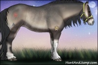 Horse Color:Blue Onyx Rabicano