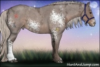 Horse Color:White Spotted Silver Blue Ice Roan 