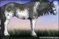 Horse Color:White Spotted Black Chinchilla Rabicano