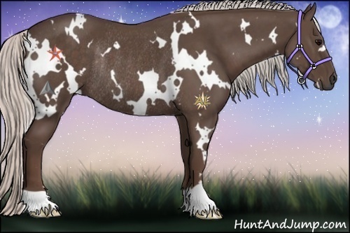 Horse Color:White Spotted Silver Black Rabicano 