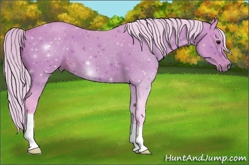 Horse Color:Watercolor Silver Bay 