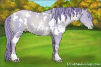 Horse Color:Watercolor White Spotted Smoky Black Pearl