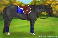Horse Color:Smoky Black 