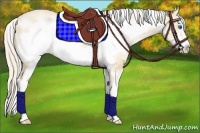 Horse Color:White Spotted Palomino Pearl Sabino Frame