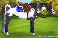 Horse Color:White Spotted Black Frame 