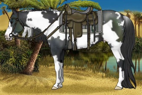 Horse Color:White Spotted Black Frame 