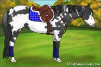 Horse Color:White Spotted Black Frame 
