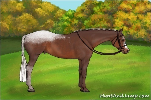 Horse Color:Chocolate Silver Brown 