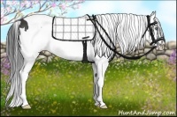 Horse Color:Smoky Black Splash Tobiano