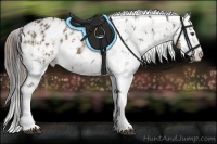 Horse Color:Liver Red Dun Sabino Splash Appaloosa Brindle and White Spotted Brown Dun Sabino Splash Appaloosa Brindle