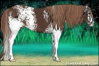 Horse Color:White Spotted Liver Chestnut 