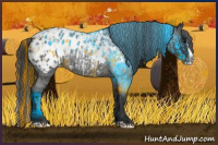 Horse Color:Blue Roan Sabino Splash Appaloosa  and Gray Blue Chinchilla Roan Sabino Splash Appaloosa 