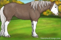 Horse Color:Silver Blue Roan Splash 