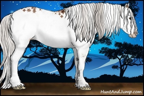 Horse Color:Silver Bay Sabino Rabicano 
