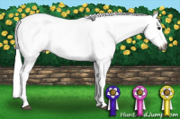 Horse Color:Gray White Spotted Black Blanket 