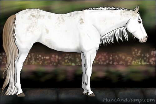 Horse Color:Liver Red Dun Sabino Splash Varnish
