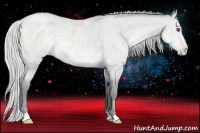 Horse Color:Silver Black Chinchilla Pearl 