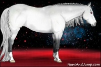 Horse Color:Silver Brown Chinchilla 