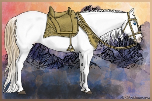 Horse Color:Liver Chestnut Pearl Splash Appaloosa 