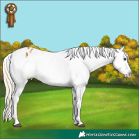 Horse Color:White Spotted Palomino Tobiano Snowflake Varnish 