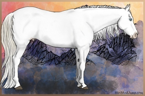 Horse Color:Liver Chestnut Pearl Snowflake Varnish