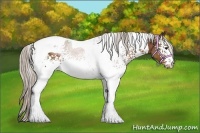 Horse Color:White Spotted Silver Bay Tobiano