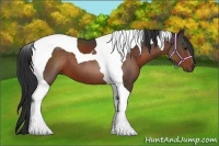 Horse Color:Bay Tobiano