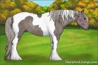 Horse Color:Silver Black Tobiano Rabicano