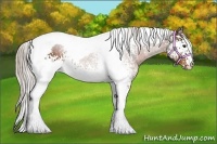 Horse Color:White Spotted Silver Bay Tobiano 