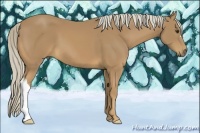 Horse Color:Palomino 