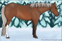 Horse Color:Silver Bay 