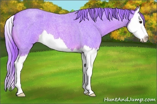 Horse Color:Watercolor Red Roan Splash 