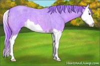 Horse Color:Watercolor Red Roan Splash 
