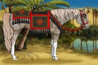 Horse Color:Chocolate Palomino Ice