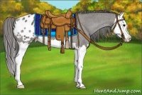 Horse Color:Grullo Splash Appaloosa