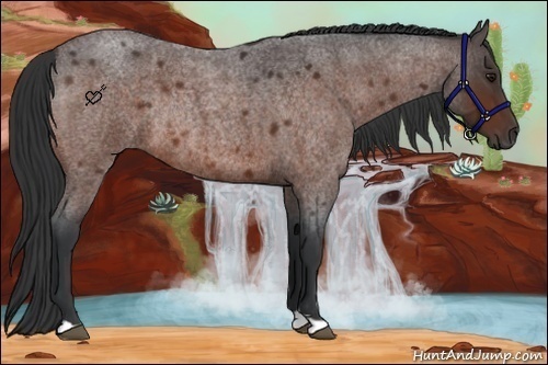 Horse Color:Bay Roan Rabicano