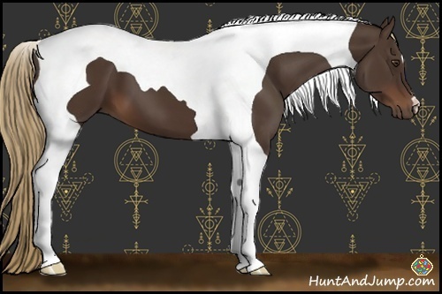 Horse Color:Liver Chestnut Tobiano